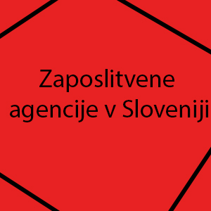 Zaposlitvene agencije v Sloveniji